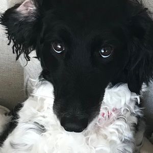 Meet your Posher, John